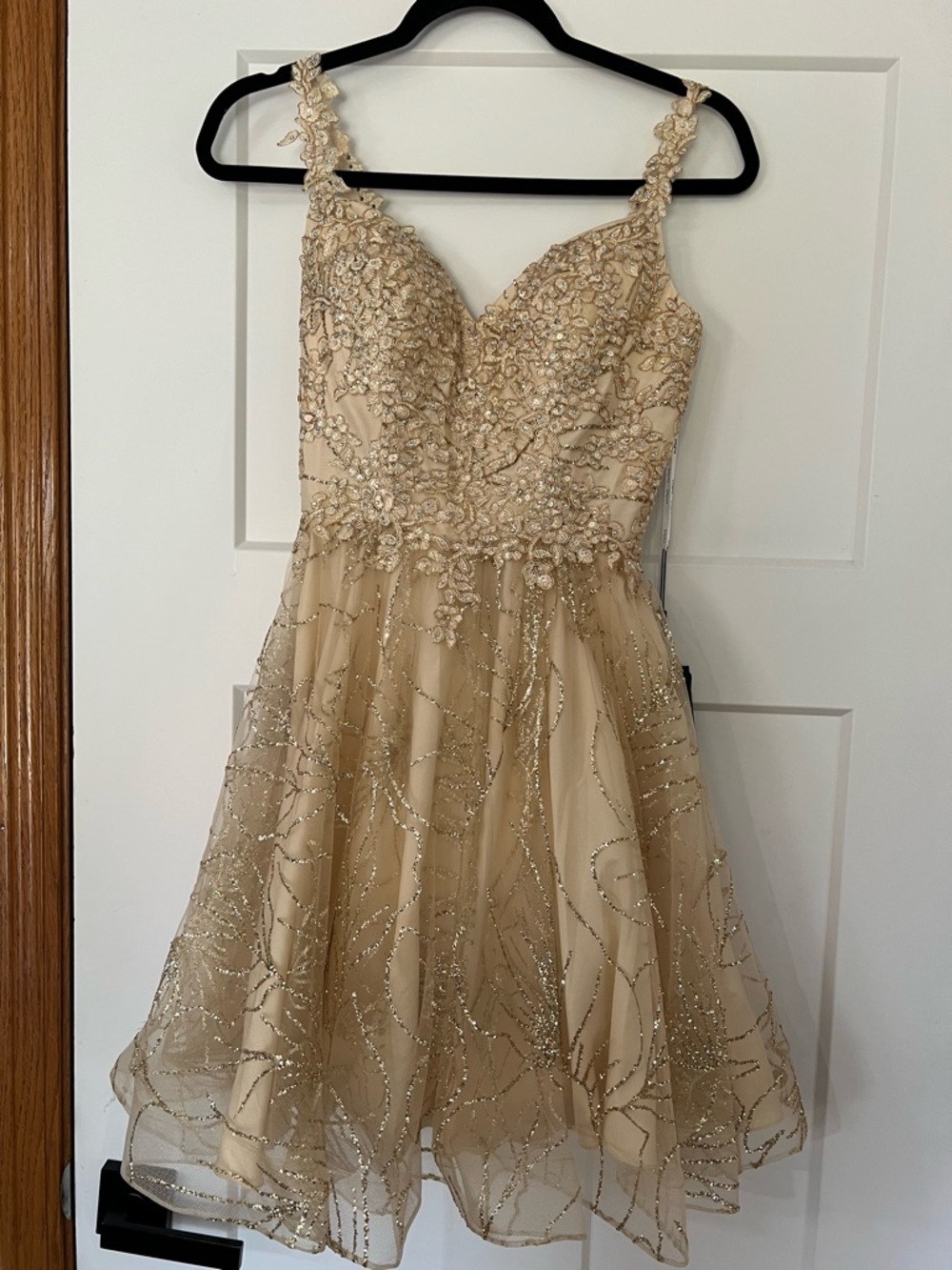 Juliet Champagne Mini Dress - XS